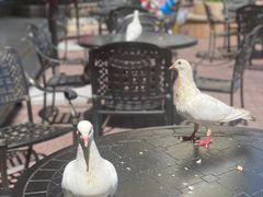 -深圳东部华侨城茵特拉根酒店