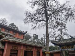 -黔灵山公园