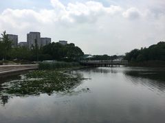 -新江湾城公园