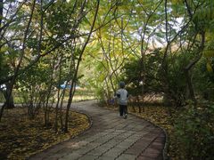 -哈尔滨文化公园