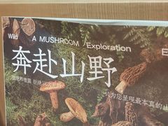 -一朵菌·野生菌探索家火锅(南亚店)