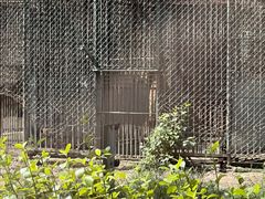 -秦皇岛野生动物园