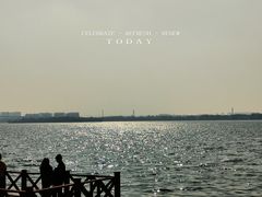 -丁香湖公园