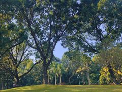 -人民公园(罗湖区)