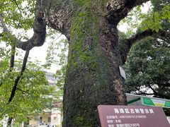 -黄埔古港