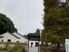 -同里国家湿地公园