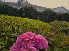 -静之湖湖畔餐厅