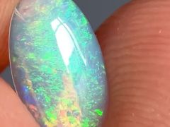 -泰康食品有限公司食品厂