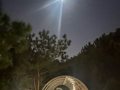 -仙岳公园