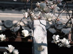 -龙华寺