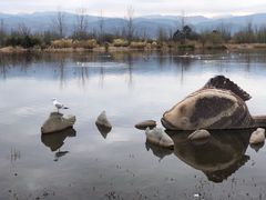 -西昌邛海湿地