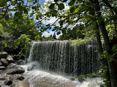 -汤旺河林海奇石景区