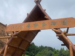 -哈尔滨北方森林动物园