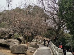 -灵岩山风景区