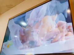 -来相会饺子·新辽菜(甘家口店)