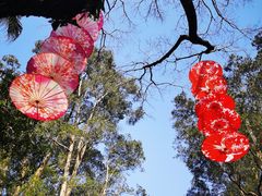-广州市白云山风景名胜区