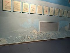 -盐城丹顶鹤湿地生态旅游区