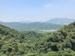 -广州市帽峰山景区