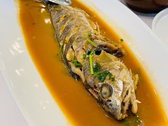 白烧黄姑鱼-开海·红岛海鲜虾水饺(石老人店)