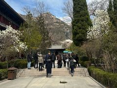 -青岛崂山太清宫