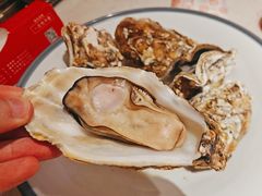 -杨氏青龙虾·羊蝎子(托乐嘉店)
