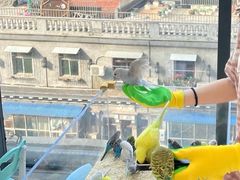 -怪兽屋·羊驼·猫咖·狗咖(俊华广场店)