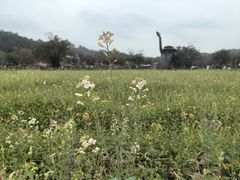 -红山村