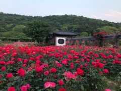-龙寺生态园