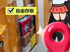 -安东易迷你自助仓储寄存仓库(草桥店)