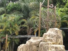 -广东茂名森林公园