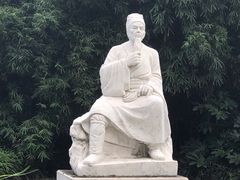 -上海市杨浦区中医医院