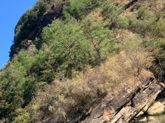 -九曲溪竹筏码头