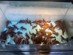 -圣罗巴海鲜烤肉自助(佳兆业店)