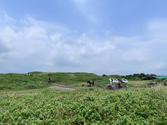 -涉地可支