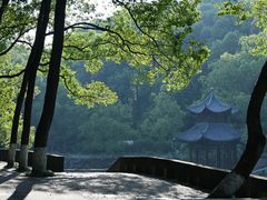 -忠山公园