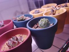 -向日葵十五度餐厅(昌平区店)