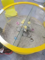 -神奇动物撸宠馆·羊驼·小浣熊·异宠(豫园店)