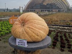 -中国天府农业博览园