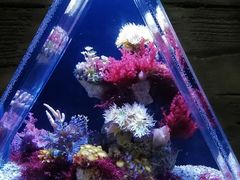 -郑州海洋馆
