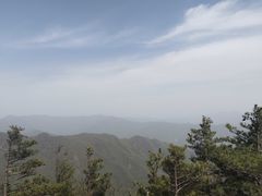 -牛背梁国家森林公园