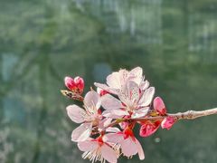 -丽都DELICATESSEN熟食店