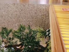 -鸡毛店·川菜(文殊院店)