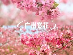 -天适樱花悠乐园