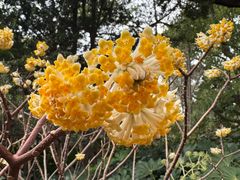 -徐家汇源景区-衡山公园