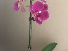 -煲煲掂风味煲仔饭餐厅(西区店)