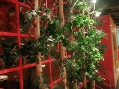 -丰茂烤串(全国首店)