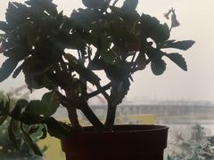 -时光码头民谣公社