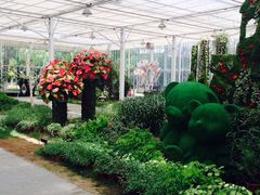 上海鲜花港-上海鲜花港