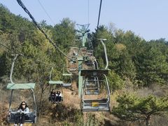 -磬锤峰森林公园