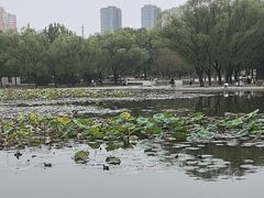 -太阳宫公园
